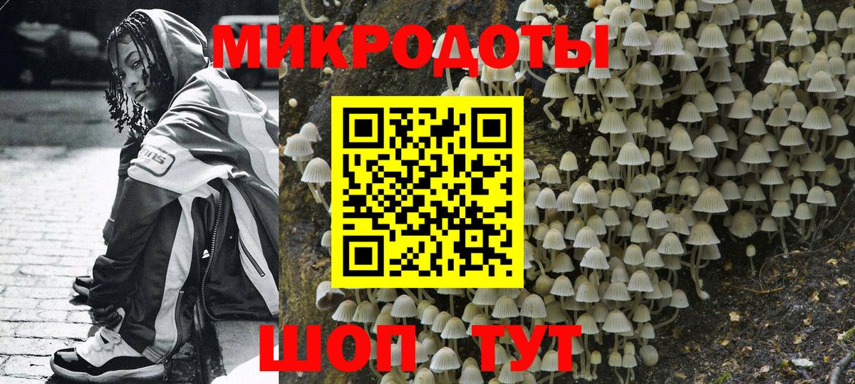 Псилоцибиновые грибы прущие грибы Изобильный